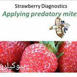 بيوكيلرز مفترسات's picture